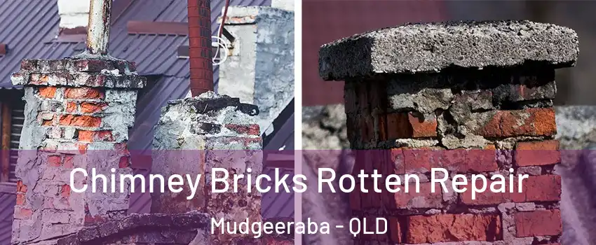 Chimney Bricks Rotten Repair Mudgeeraba - QLD