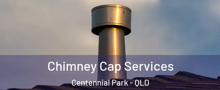 Chimney Cap Services Centennial Park - QLD