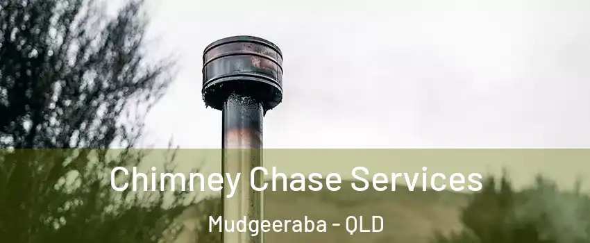 Chimney Chase Services Mudgeeraba - QLD