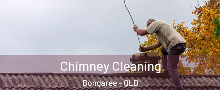 Chimney Cleaning Bongaree - QLD