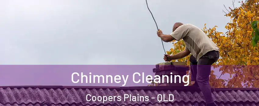 Chimney Cleaning Coopers Plains - QLD