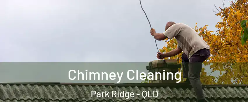Chimney Cleaning Park Ridge - QLD
