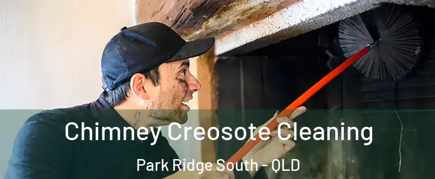 Chimney Creosote Cleaning Park Ridge South - QLD