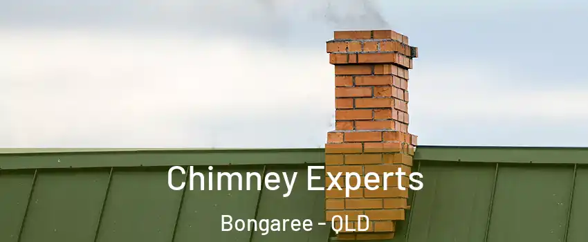 Chimney Experts Bongaree - QLD