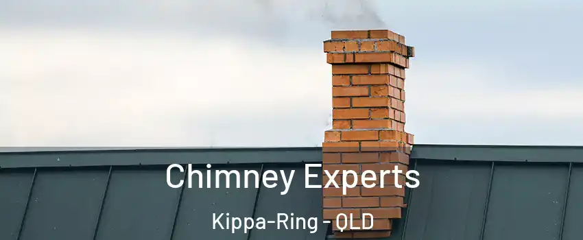 Chimney Experts Kippa-Ring - QLD