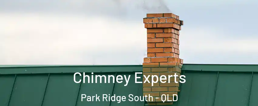  Chimney Experts Park Ridge South - QLD