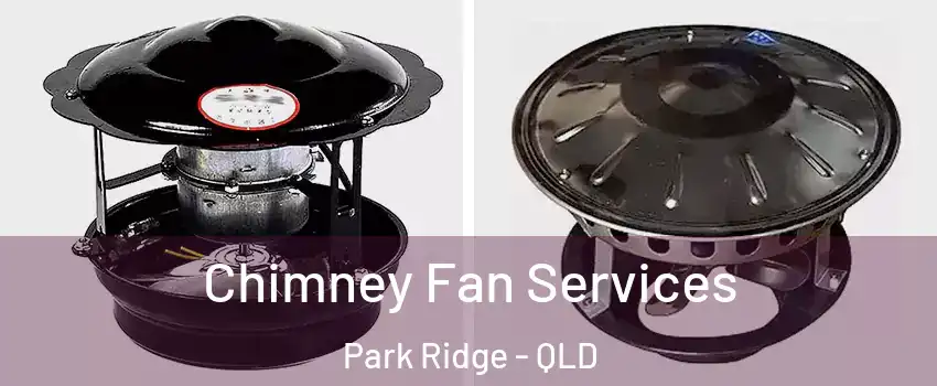 Chimney Fan Services Park Ridge - QLD