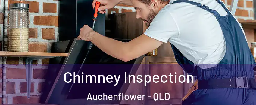 Chimney Inspection Auchenflower - QLD