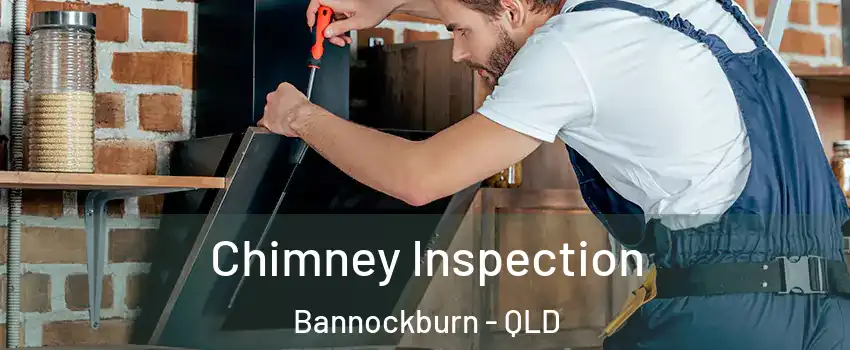 Chimney Inspection Bannockburn - QLD