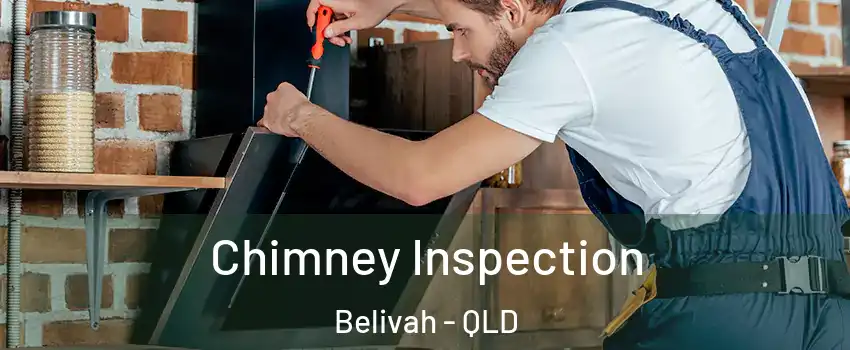 Chimney Inspection Belivah - QLD