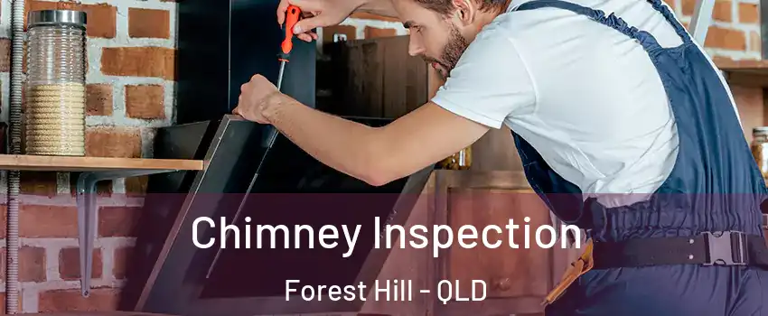 Chimney Inspection Forest Hill - QLD