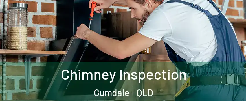 Chimney Inspection Gumdale - QLD