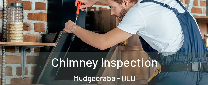 Chimney Inspection Mudgeeraba - QLD