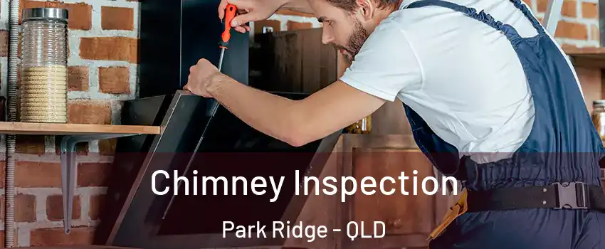 Chimney Inspection Park Ridge - QLD