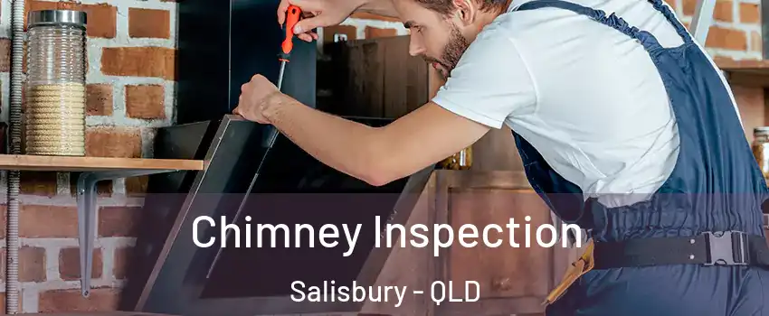 Chimney Inspection Salisbury - QLD