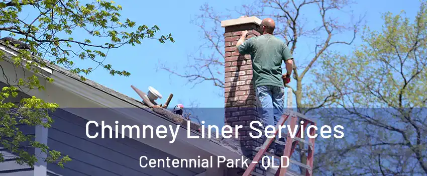 Chimney Liner Services Centennial Park - QLD