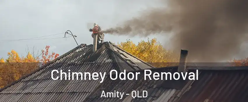  Chimney Odor Removal Amity - QLD