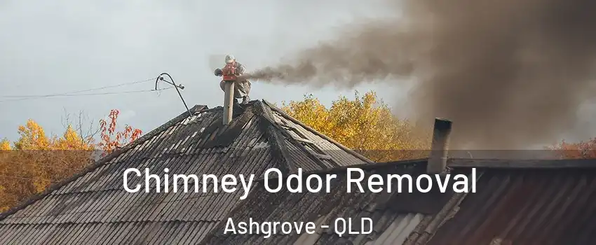 Chimney Odor Removal Ashgrove - QLD