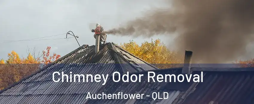 Chimney Odor Removal Auchenflower - QLD