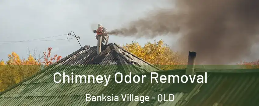 Chimney Odor Removal Banksia Village - QLD