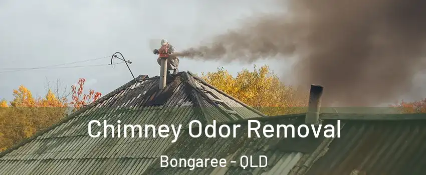 Chimney Odor Removal Bongaree - QLD