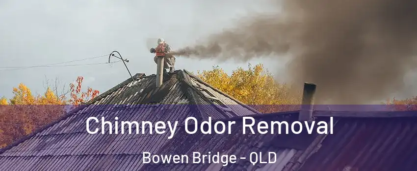 Chimney Odor Removal Bowen Bridge - QLD