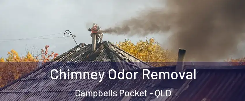 Chimney Odor Removal Campbells Pocket - QLD
