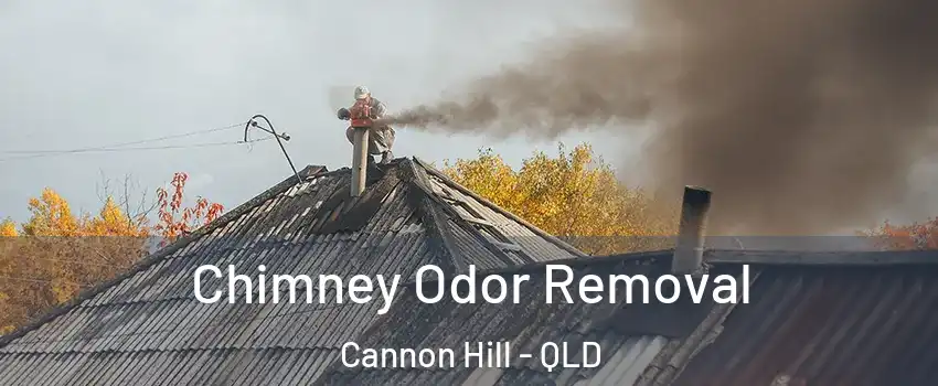 Chimney Odor Removal Cannon Hill - QLD