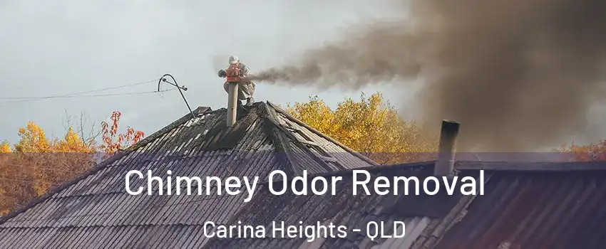 Chimney Odor Removal Carina Heights - QLD