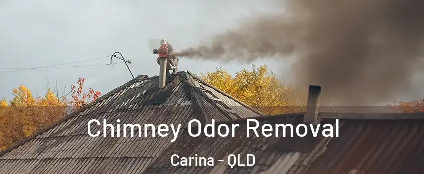 Chimney Odor Removal Carina - QLD