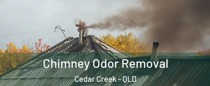 Chimney Odor Removal Cedar Creek - QLD