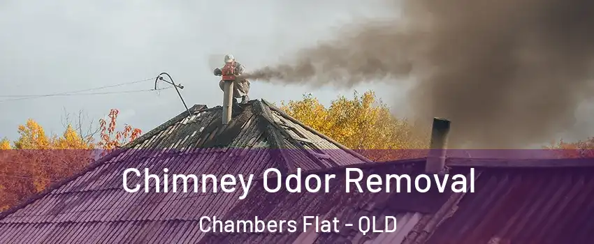 Chimney Odor Removal Chambers Flat - QLD