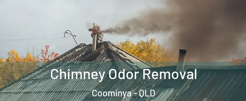 Chimney Odor Removal Coominya - QLD