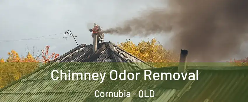 Chimney Odor Removal Cornubia - QLD