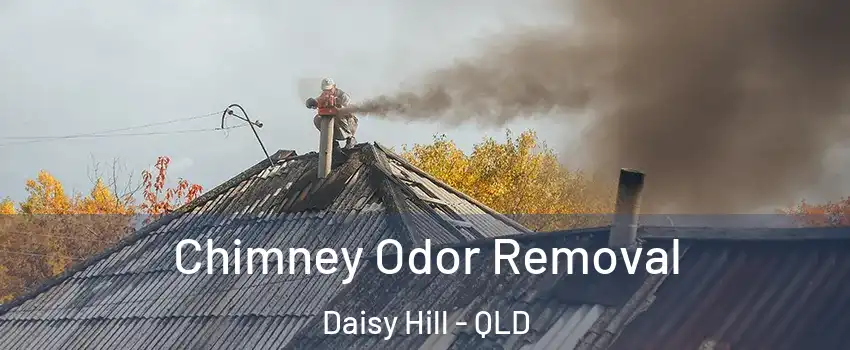 Chimney Odor Removal Daisy Hill - QLD