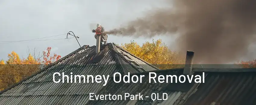 Chimney Odor Removal Everton Park - QLD