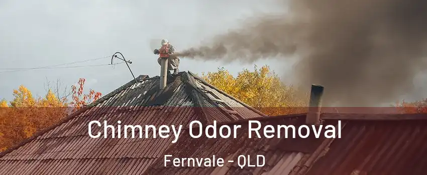 Chimney Odor Removal Fernvale - QLD