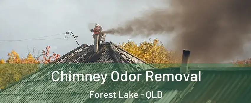 Chimney Odor Removal Forest Lake - QLD