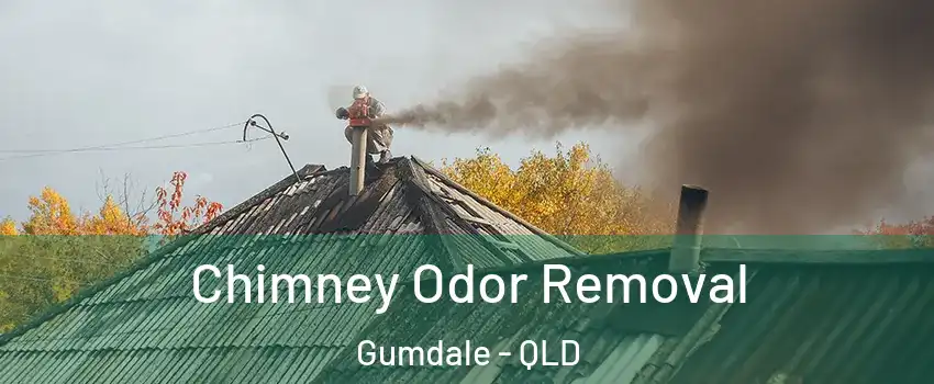 Chimney Odor Removal Gumdale - QLD