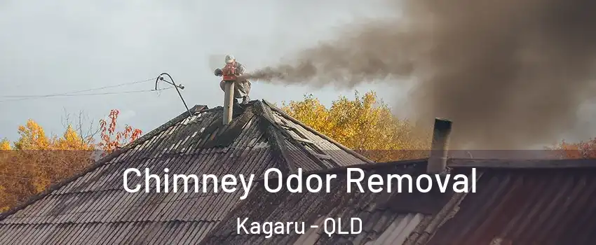 Chimney Odor Removal Kagaru - QLD