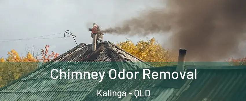 Chimney Odor Removal Kalinga - QLD