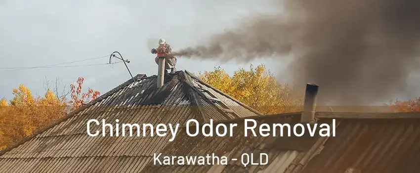 Chimney Odor Removal Karawatha - QLD