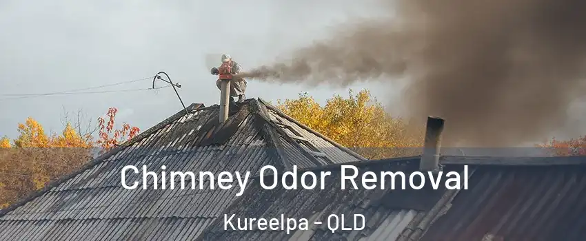 Chimney Odor Removal Kureelpa - QLD