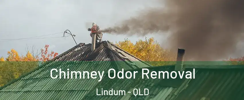 Chimney Odor Removal Lindum - QLD