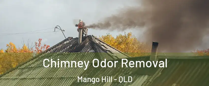 Chimney Odor Removal Mango Hill - QLD