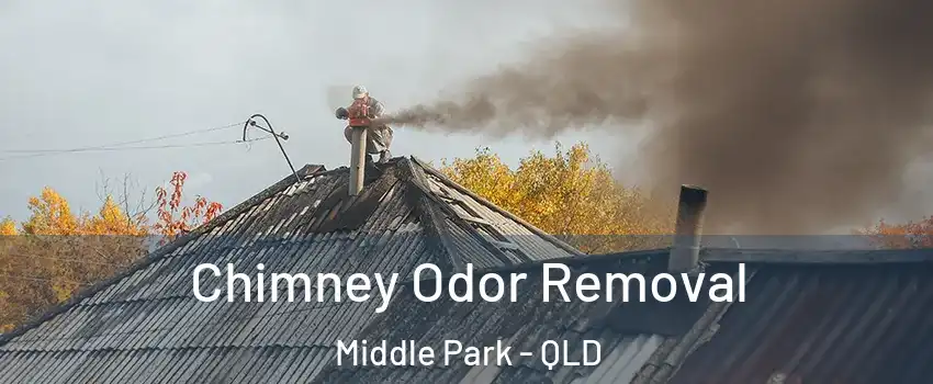 Chimney Odor Removal Middle Park - QLD