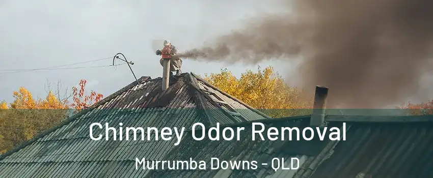 Chimney Odor Removal Murrumba Downs - QLD