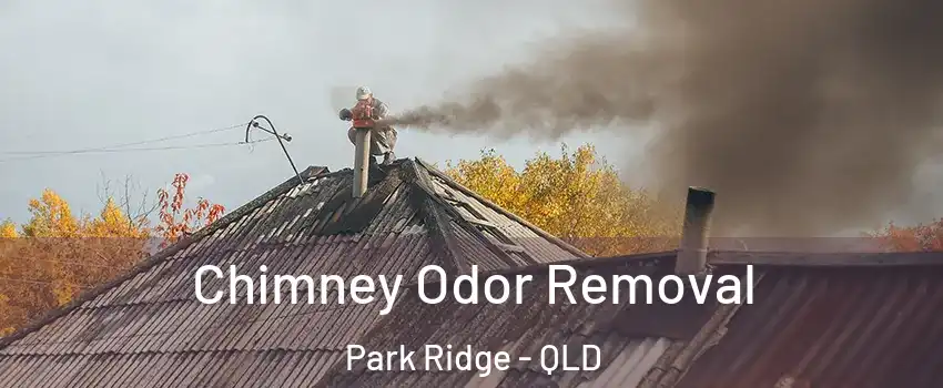 Chimney Odor Removal Park Ridge - QLD
