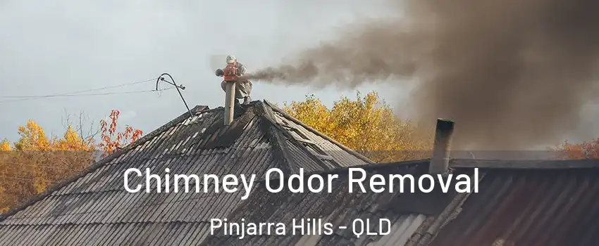 Chimney Odor Removal Pinjarra Hills - QLD