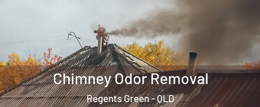Chimney Odor Removal Regents Green - QLD